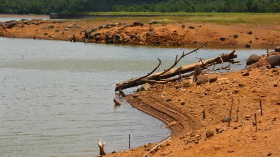 Distribution de l’eau : des règlements plus sévères appliqués s’il ne pleut pas