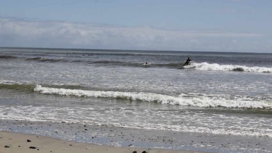 Développement immobilier à Tamarin : le projet de 100 villas au Barachois pour Rs 5 milliards bientôt débloqué