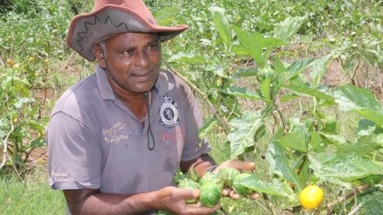 Dans les bottes d’Ajay Aumeerun