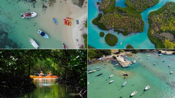 L’île d’Ambre : précieuse beauté