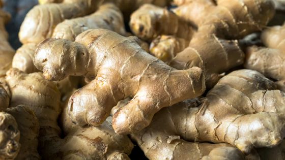 Ripailles : vol de 57 kilos de gingembre