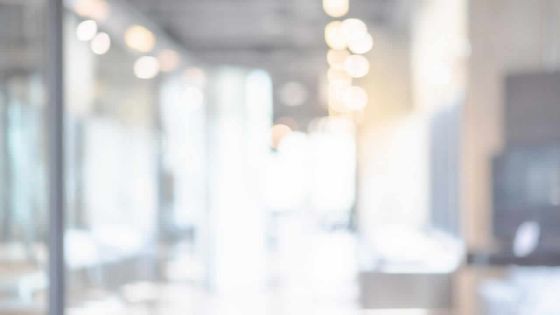 Chronologie des événements et des décisions prises concernant Dhyanavartam Ltd :