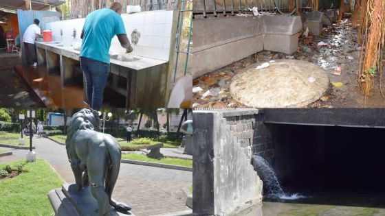 Jardin de la Compagnie : cet espace vert négligé de la capitale