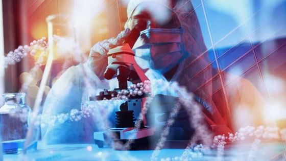 Secteur émergent : une vingtaine de projets présélectionnés par le Mauritius Institute of Biotechnology