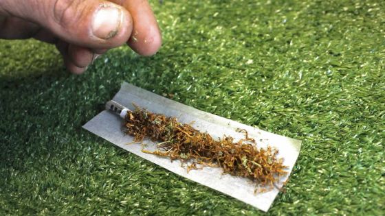 Combat contre la drogue: la présidente du GCDP en désaccord avec le GM