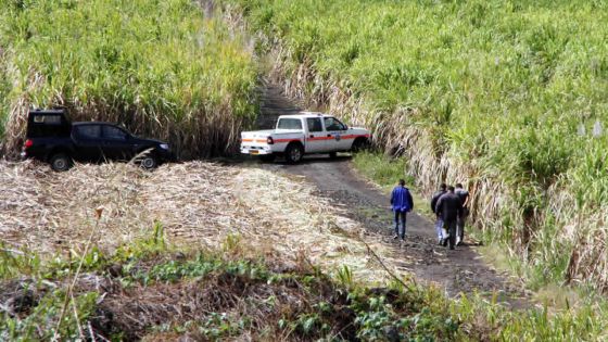 Dans une école de l’Est : tentative d’empoisonnement sur un instituteur