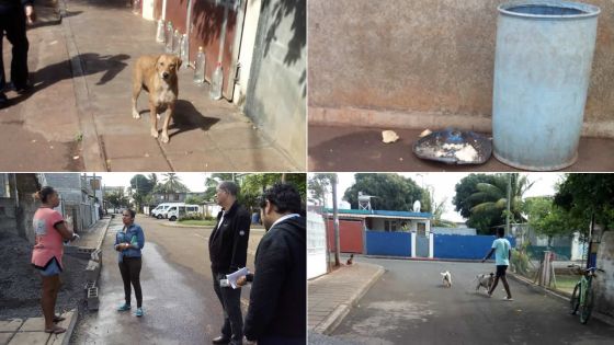 Mort suspecte de 10 chiens à Terre-Rouge : la thèse de la rage écartée