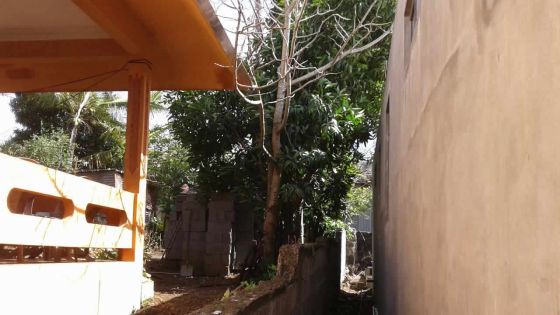 Problème de voisinage : les branches de la discorde…