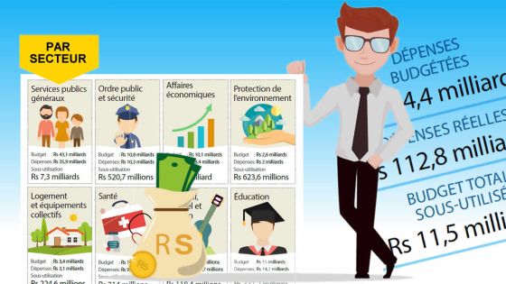 [Infographie] Ces secteurs qui sous-utilisent leur budget
