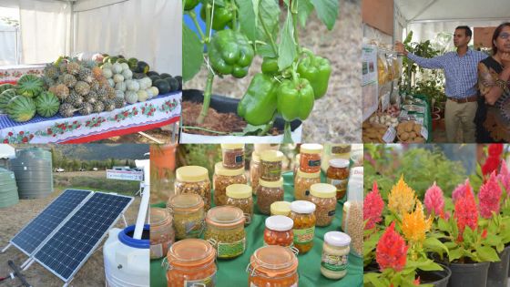 Salon de l’Agriculture : deux jours pour faire de bonnes affaires