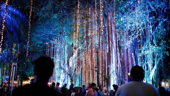 Porlwi by light : l’environnement mise en lumière