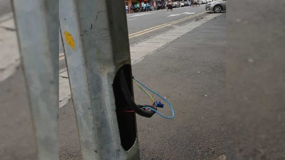 Photo du jour : Attention !