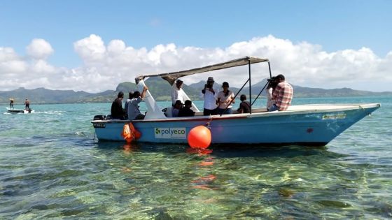 MV Wakashio : nettoyé, le littoral du sud-est recouvre … son éclat