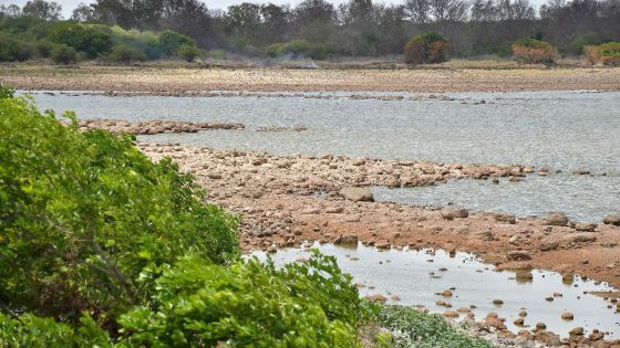 Eau : des pistes à explorer pour une amélioration - Prem Saddul : «Le problème réside dans une mauvaise gouvernance»