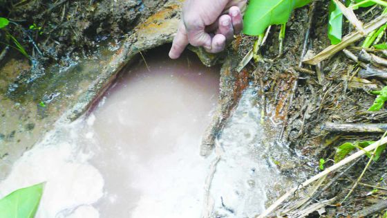 Nouvelle-France - Eaux usées : le cauchemar des occupants de la NHDC