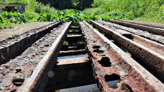 Balade - Savinia : un joyau dans son écrin de verdure