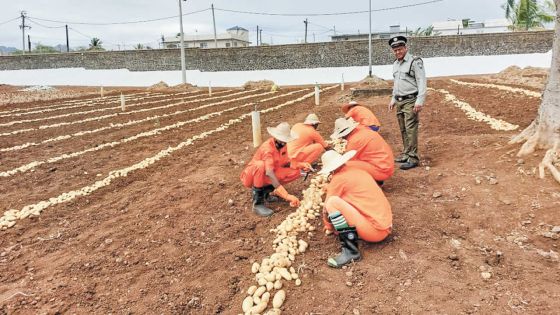 L’employabilité des anciens détenus, une priorité pour lutter contre la récidive