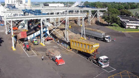 Entreprises: les bilans trimestriels indiquent une performance mitigée