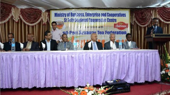 Agro-industrie : 600 arpents alloués aux planteurs de thé