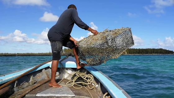 Confinement : le détail des arrangements spéciaux pour les pêcheurs et revendeurs de poisson