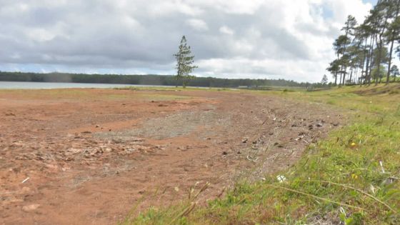 Sécheresse - Restrictions drastiques : le gouvernement temporise