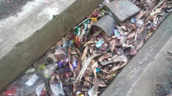 Des drains font office de poubelles 