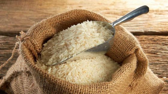 Production locale - Riz : 250 tonnes attendues en 2017