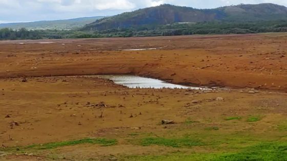 Sécheresse extrême : le Midlands Dam et le Bagatelle Dam remplis à moins de 30 %