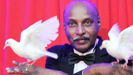 À Camp-Levieux: trois récidivistes accusés d’avoir volé les oiseaux d’un magicien