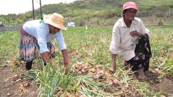 Coopératives : des mesures introduites pour rajeunir le secteur