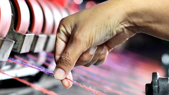 Bilan groupe CIEL : meilleure performance avec l’objectif de viser plus haut