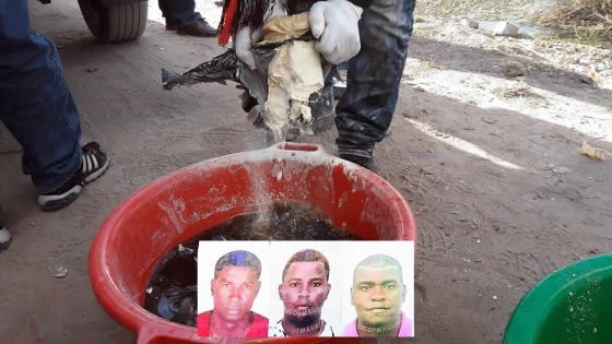 Arrêtés avec Rs 560 M de drogue à Madagascar : Avoula, Leratz et Plaiche seront jugés sous une accusation différente à Maurice