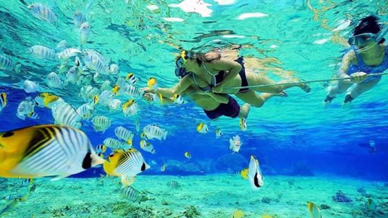 Autour des aires marines protégées : des emplois alternatifs recherchés  pour les anciens pêcheurs