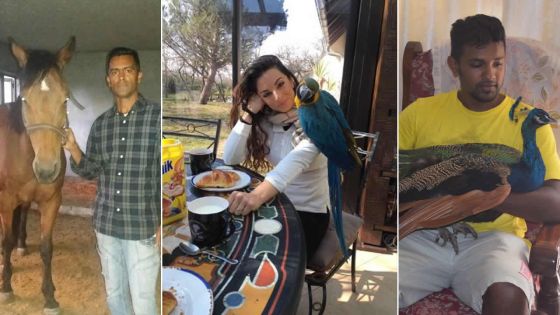 Animaux domestiques : des compagnons qui coûtent cher