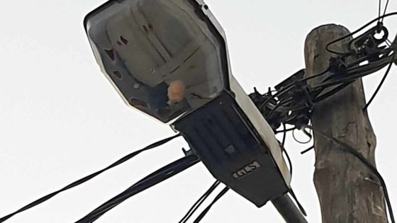 À Curepipe : que la lumière soit… à la rue Lislet Geoffroy