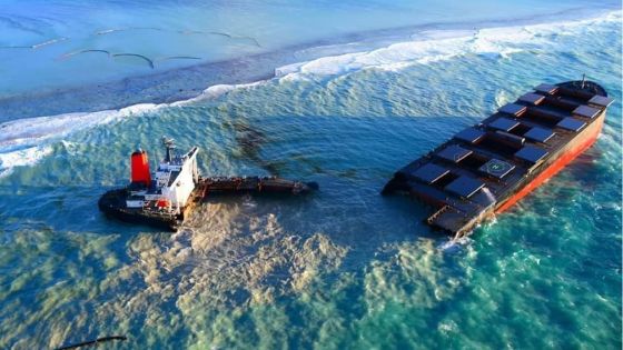 Selon le rapport préliminaire de l’Autorité maritime du Panama : «Des failles et négligences» de l’équipage du Wakashio