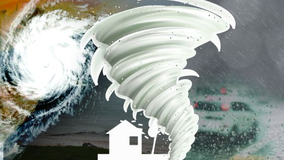 [Infographie] Sept à neuf cyclones au menu, selon la météo