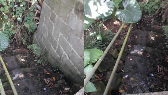 Saint-Pierre : l’accès à une rivière obstrué par un drain