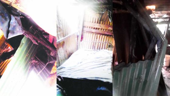 Un arbre s’écrase sur sa maison : elle est en quête de bois et de feuilles de tôle