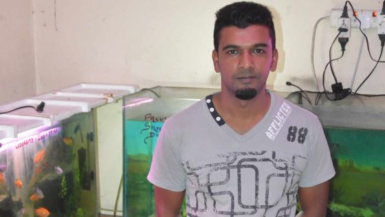 Aquariophilie : Tabreze Roossaye, comme un poisson dans l’eau