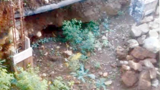 Problème de cavités à Plaine Magnien : Omnicane pas en mesure de reloger 14 familles