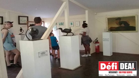 Île-aux-Aigrettes : le fruit d’un travail de conservation