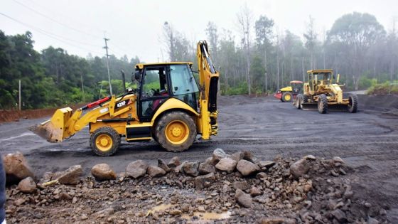 Travaux à Grand-Bassin : pour chaque arbre abattu, trois autres seront plantés
