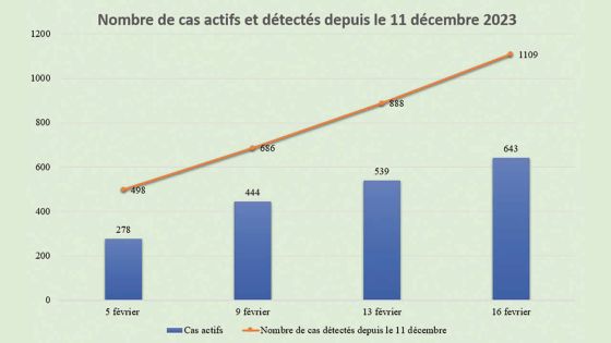Épidémie de dengue : entre 50 et 80 nouveaux cas chaque jour