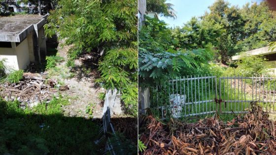 À Vallée-Pitot : un terrain en friche qui fâche