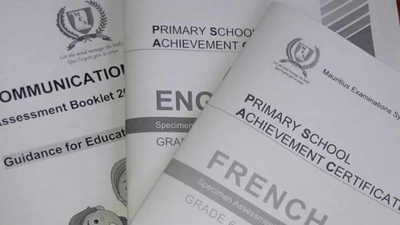 Nine-Year Schooling : semaine de formation pour les enseignants du primaire