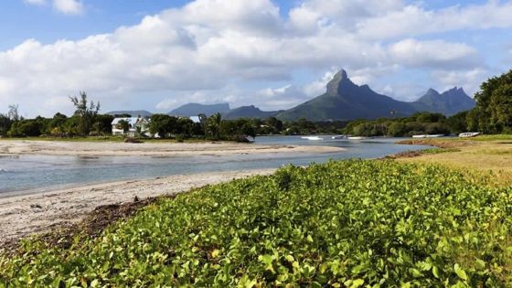 Sur la plage de Tamarin : un élément de la garde-côtière a le poignet sectionné