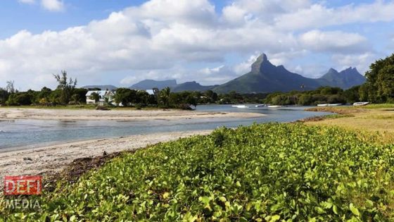 Tamarin :  les barges quittent la baie