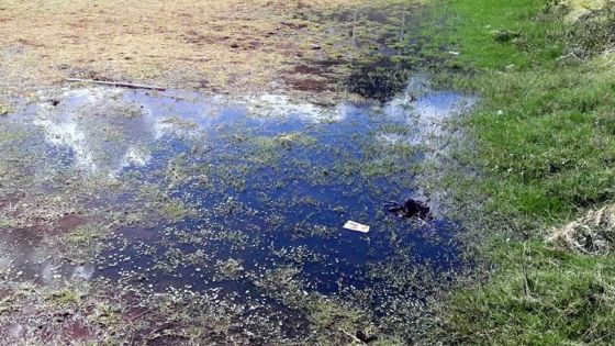 Les eaux usées de la maison voisine l’incommodent