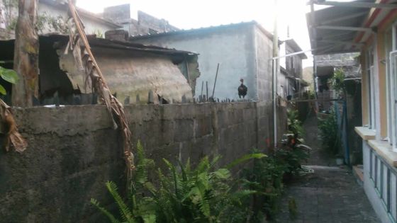 Élevage à Montagne-Blanche : une étable devant sa fenêtre